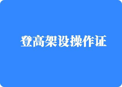 嗯嗯别停吮吸奶头登高架设操作证